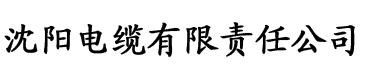 亚洲二区一区电缆厂logo